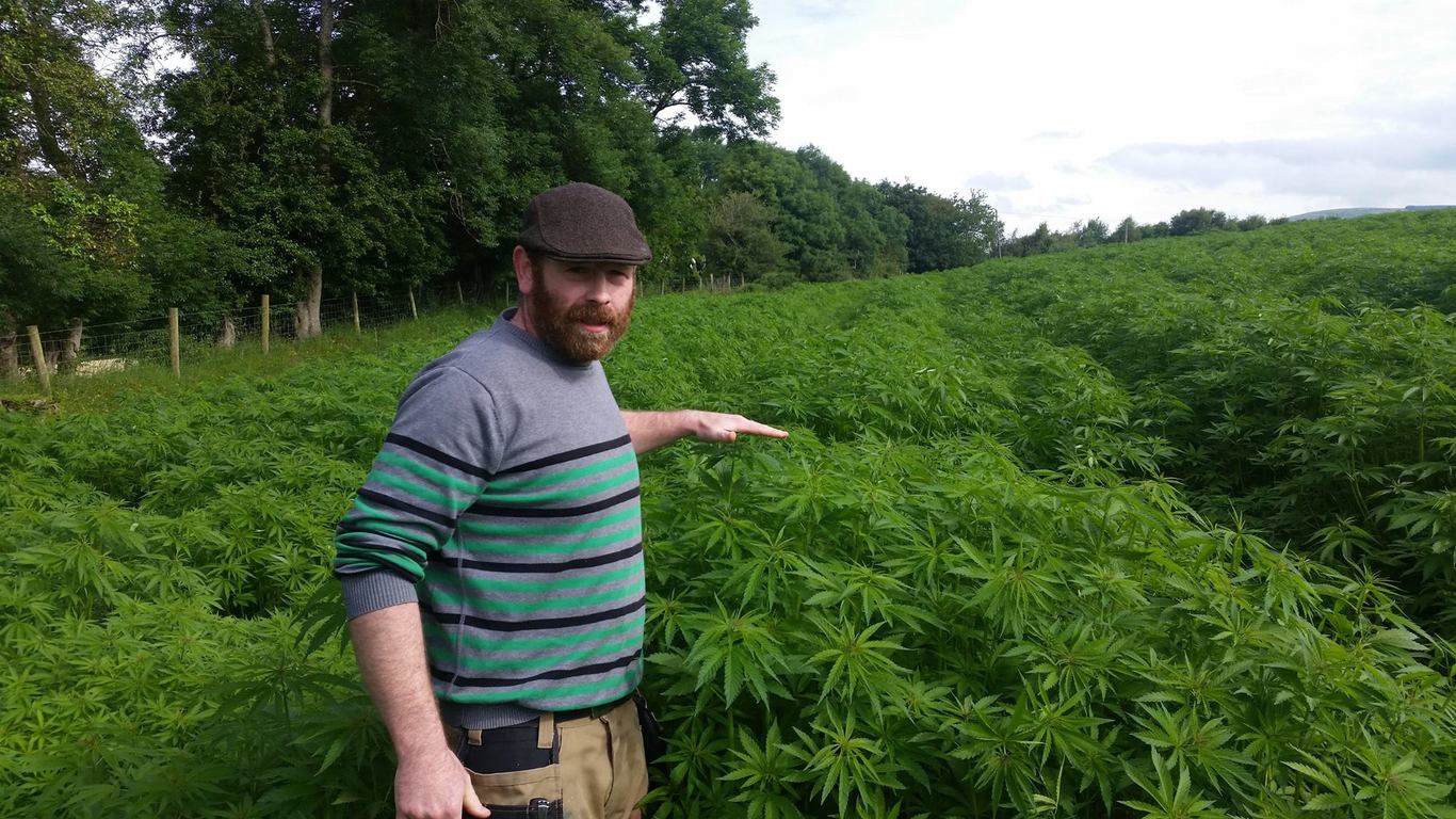 Image result for This sheep farmer is leading the push to set up Ireland's first hemp co-op