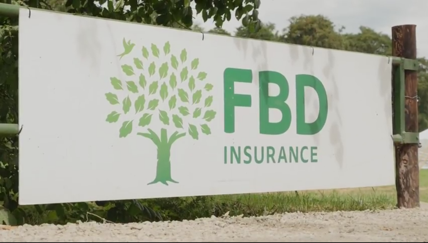 FBD's profits have jumped - but an investigation into its CEO could act